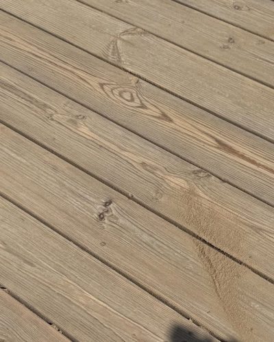ren trall närbild